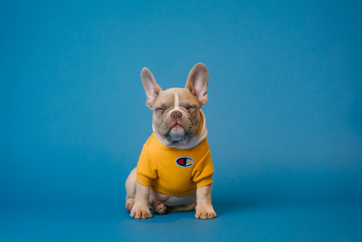 Pet Health Insurance